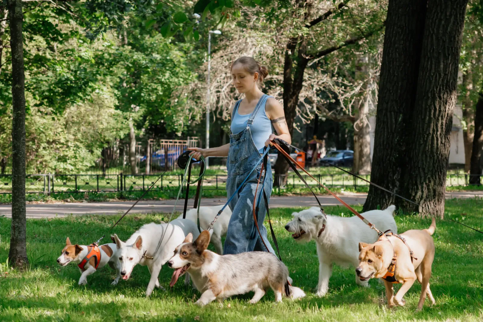 Best Pet Sitting Software