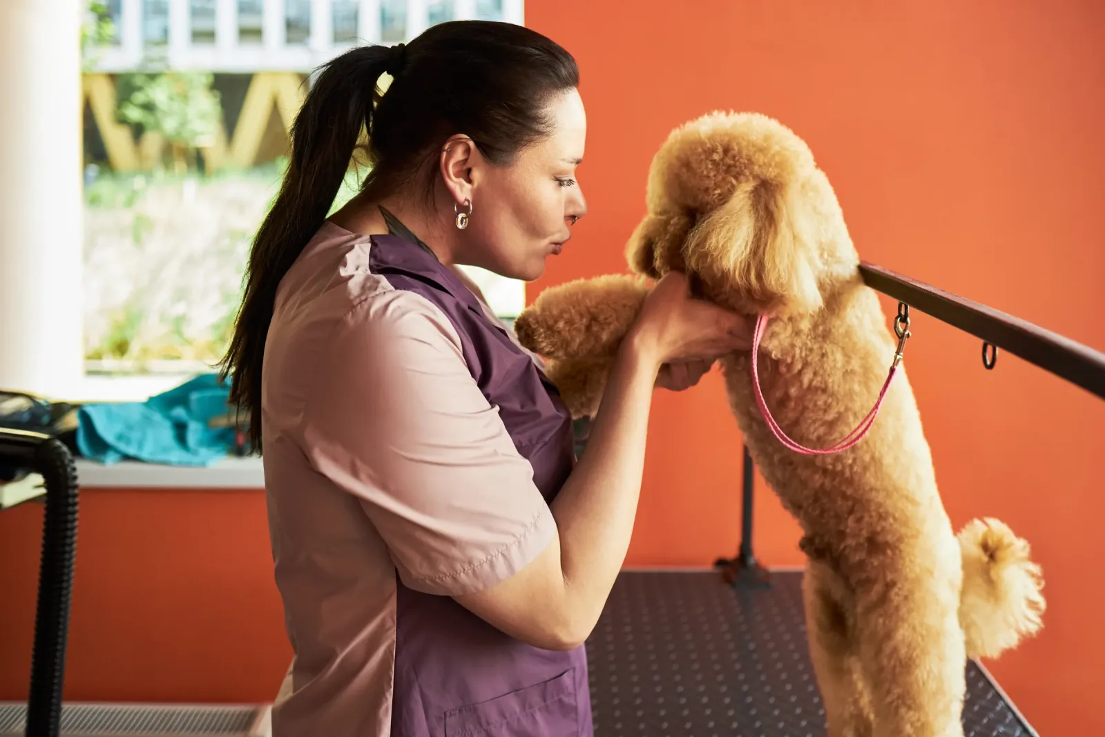 Best Dog Grooming Software