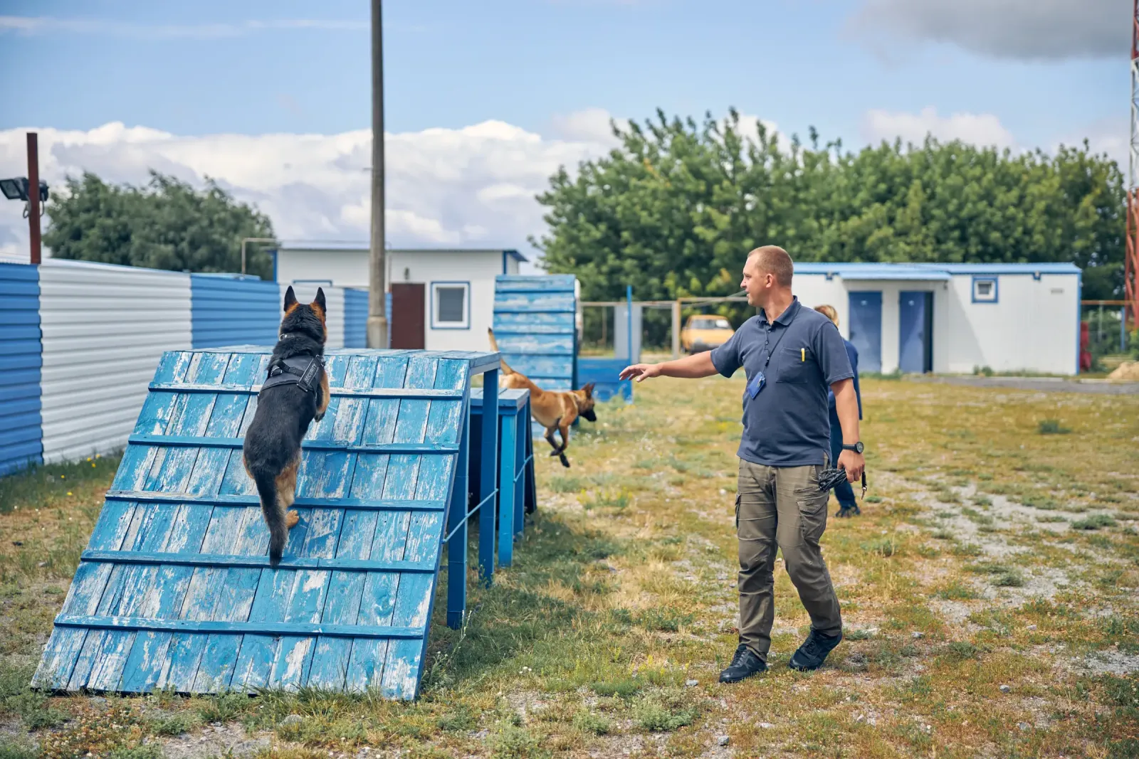 A trainer guiding a dog over an agility course